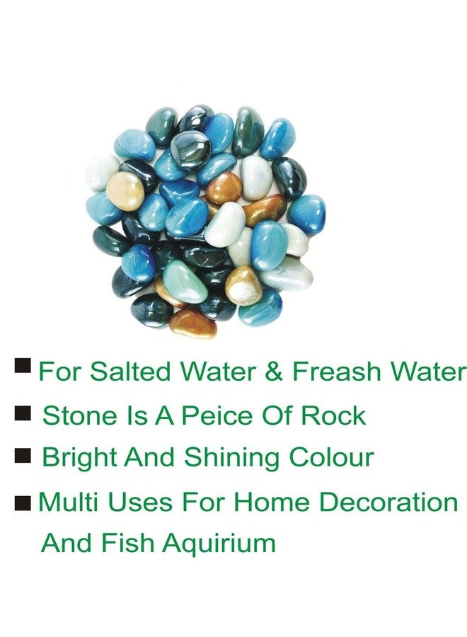 Somil Multicolor Pebbles/Stones for Garden, Plants, Lawns, Aquariums, Fish Pots, Home Decor, Vases, Furniture Filler. Size: 10-30mm, Shiny Multicolor -A516 - Image 2